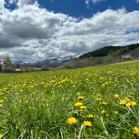 Mons Albis Ferienhaus *